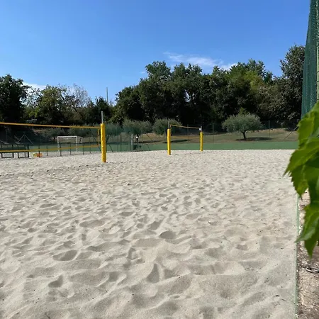 Bran&denise קוסטרמנו